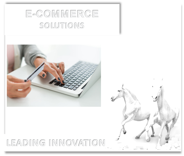 e-Commerce solutions